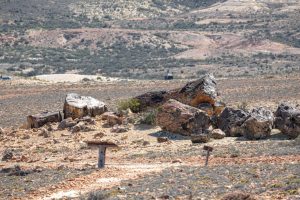 Bosque Petrificado, una maravilla escondida en medio de la Patagonia