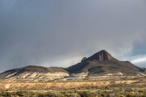 Bosque Petrificado, una maravilla escondida en medio de la Patagonia