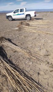 Se concretó el proyecto “Perito Moreno Verde y Limpio”