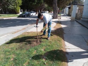 Se concretó el proyecto “Perito Moreno Verde y Limpio”