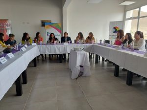 Se realizó la 3° sesión del Consejo Provincial de Mujeres, Géneros y Diversidad en Puerto Santa Cruz