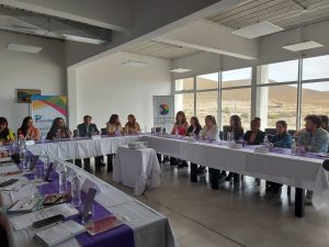 Se realizó la 3° sesión del Consejo Provincial de Mujeres, Géneros y Diversidad en Puerto Santa Cruz