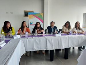 Se realizó la 3° sesión del Consejo Provincial de Mujeres, Géneros y Diversidad en Puerto Santa Cruz