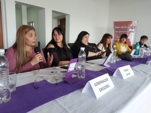 Se realizó la 3° sesión del Consejo Provincial de Mujeres, Géneros y Diversidad en Puerto Santa Cruz