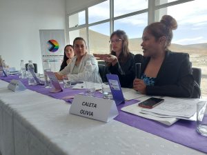 Se realizó la 3° sesión del Consejo Provincial de Mujeres, Géneros y Diversidad en Puerto Santa Cruz
