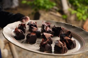 Guanaco: las posibilidades que brinda un producto identitario de Santa Cruz