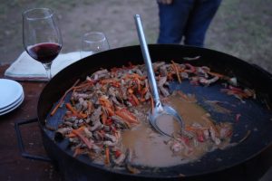 Guanaco: las posibilidades que brinda un producto identitario de Santa Cruz