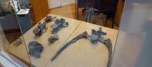 Se concretó charla sobre el dinosaurio Maip Macrothorax en Casa de Santa Cruz