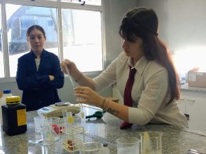 Se llevó adelante la Semana del Mar en la Escuela de Biología Marina y Laboratorista N°1