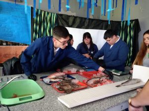 Se llevó adelante la Semana del Mar en la Escuela de Biología Marina y Laboratorista N°1