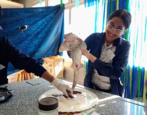 Se llevó adelante la Semana del Mar en la Escuela de Biología Marina y Laboratorista N°1