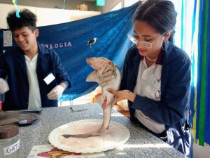Se llevó adelante la Semana del Mar en la Escuela de Biología Marina y Laboratorista N°1