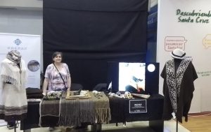 PREPAP Y W-220 brillaron en “La noche de las casas de las provincias”