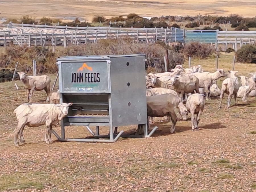 Cada vez más santacruceñas potencian sus proyectos con los créditos del Gobierno