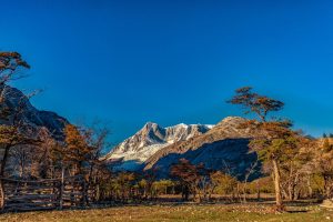 Con un nuevo fam tour, oficializaron la apertura turística de la “Ruta escénica 41”