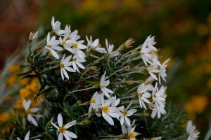 Parque Nacional Perito Moreno, un destino turístico de belleza y aventura