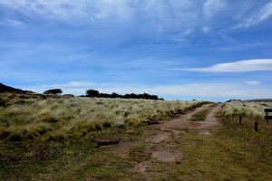 Parque Nacional Perito Moreno, un destino turístico de belleza y aventura