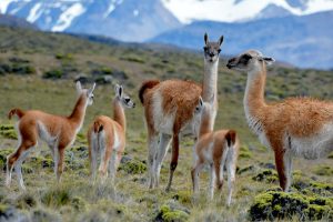 Santa Cruz, una opción ideal para disfrutar del turismo rural