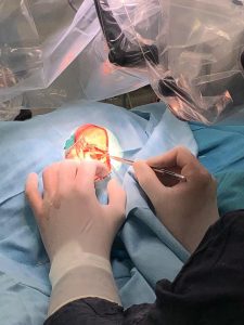 Caja de Servicios Sociales: Brindaron recomendaciones para el cuidado de boca, nariz y oído