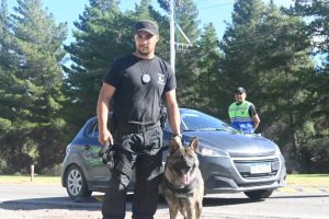 Concretan gran despliegue de Seguridad en la Fiesta Nacional de la Cereza