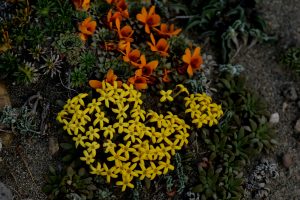 Ruta 41: una aventura escénica inolvidable por explorar