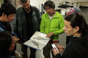 Productora Audiovisual Internacional difunde el patrimonio cultural de Santa Cruz