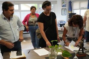 Se pondrá en marcha la obra de los “Miradores sobre la costanera” en Puerto Santa Cruz