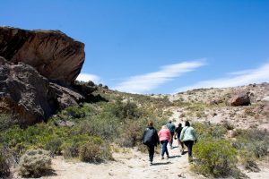 Lago Posadas: un oasis natural de ensueño por descubrir