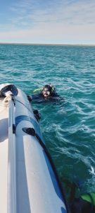 Continuamos buscando a Gabriel Barrientos