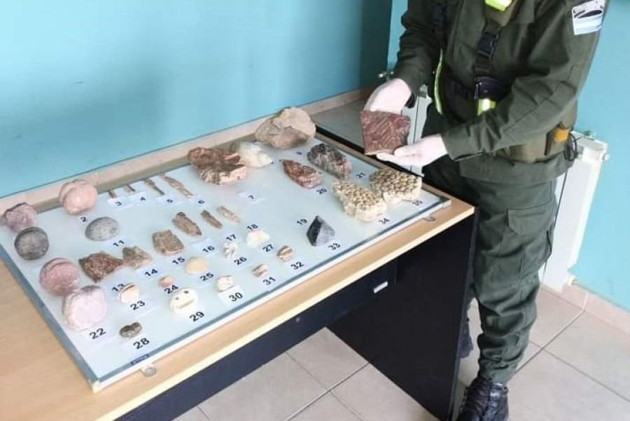 Se detectó en Santa Cruz nuevo caso de tráfico de material fósil