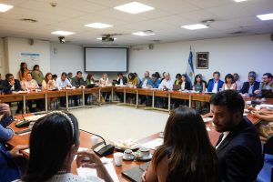 Cámara de Diputados de la Nación: El Gobierno expuso detalles del desarrollo minero de Santa Cruz