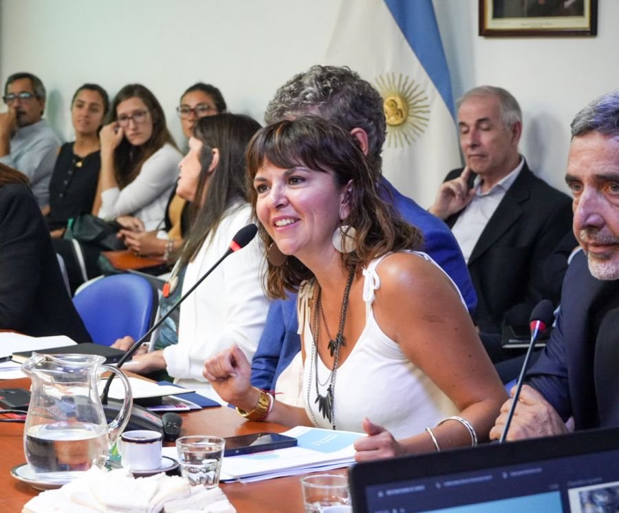 Cámara de Diputados de la Nación: El Gobierno expuso detalles del desarrollo minero de Santa Cruz