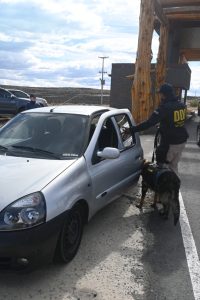 Amplio despliegue de Seguridad en la Fiesta del Lago