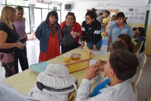 Educación finalizó el recorrido por las escuelas de Zona Centro
