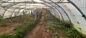 El Gobierno Provincial financia un estudio que acompaña a proyecto vitivinícola de Caleta Olivia