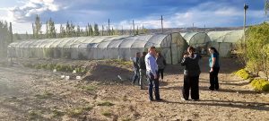 El Gobierno Provincial financia un estudio que acompaña a proyecto vitivinícola de Caleta Olivia