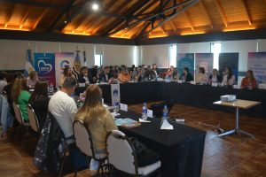 Concluyó con éxito el Consejo Provincial de Niñez en Río Gallegos