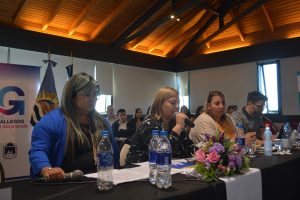 Concluyó con éxito el Consejo Provincial de Niñez en Río Gallegos
