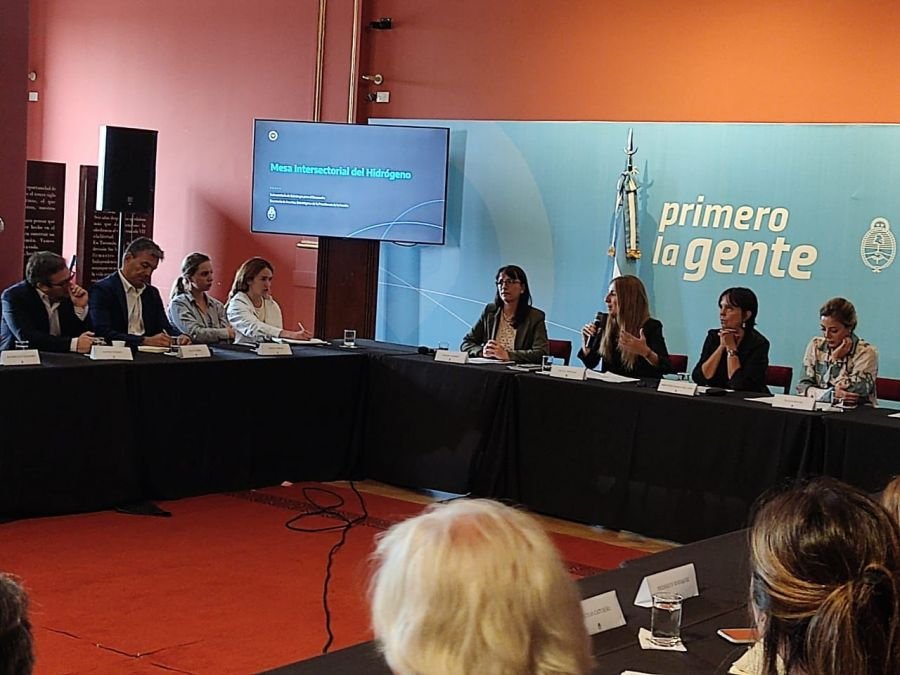 Santa Cruz participó de la primera reunión de la Mesa Intersectorial del Hidrógeno