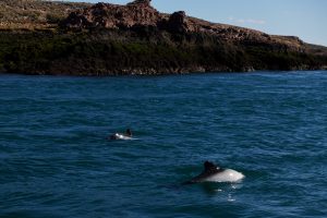 Deseado: Popurrí de bellezas naturales con notas históricas y una biodiversidad que invitan a la aventura