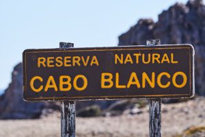 Deseado: Popurrí de bellezas naturales con notas históricas y una biodiversidad que invitan a la aventura