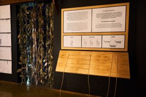 Puerto Deseado: Atesora el paso de navegantes, ferroviarios y de la arqueología subacuática