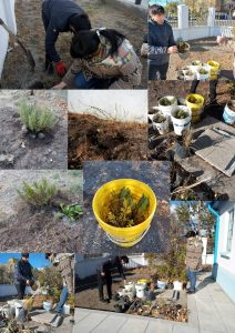 El Instituto “Dra. Elsa Barbería” lleva adelante el proyecto “Experiencia botánica”