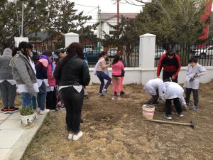 El Instituto “Dra. Elsa Barbería” lleva adelante el proyecto “Experiencia botánica”