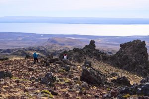 Parque Nacional Patagonia: un paraíso oculto en Santa Cruz