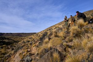Parque Nacional Patagonia: un paraíso oculto en Santa Cruz