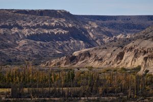 Parque Nacional Patagonia: un paraíso oculto en Santa Cruz
