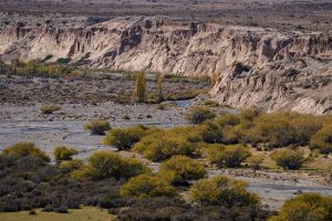 Parque Nacional Patagonia: un paraíso oculto en Santa Cruz