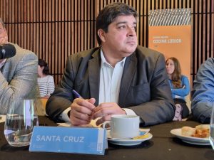 Salud participó del Consejo Federal de Salud para trabajar en el abordaje del cambio climático
