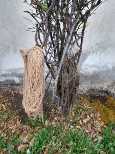 Se concretaron exitosas actividades culturales en toda la provincia